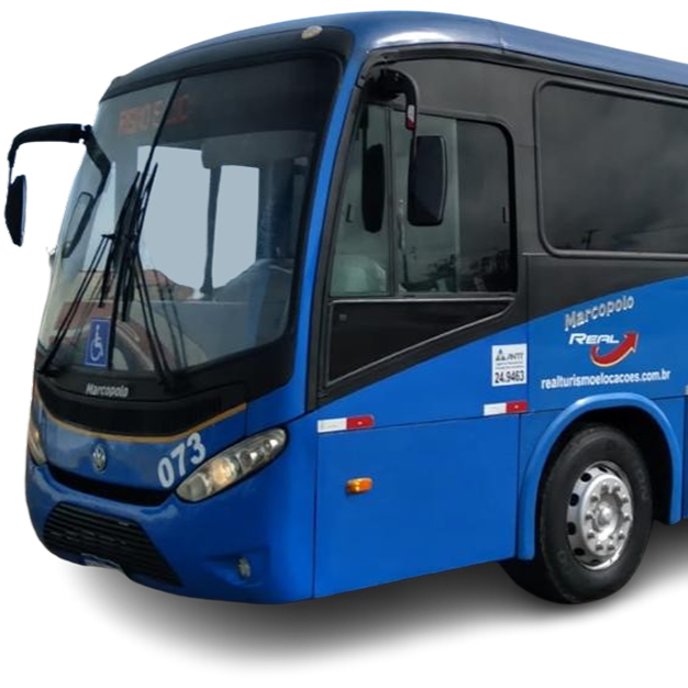 Viagem,turismo,ceara,onibus,taua,pedra