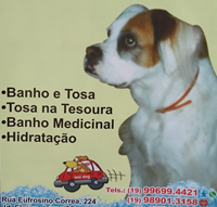 Banho,tosa,cães,gatos,medicinal,taxi-dog,